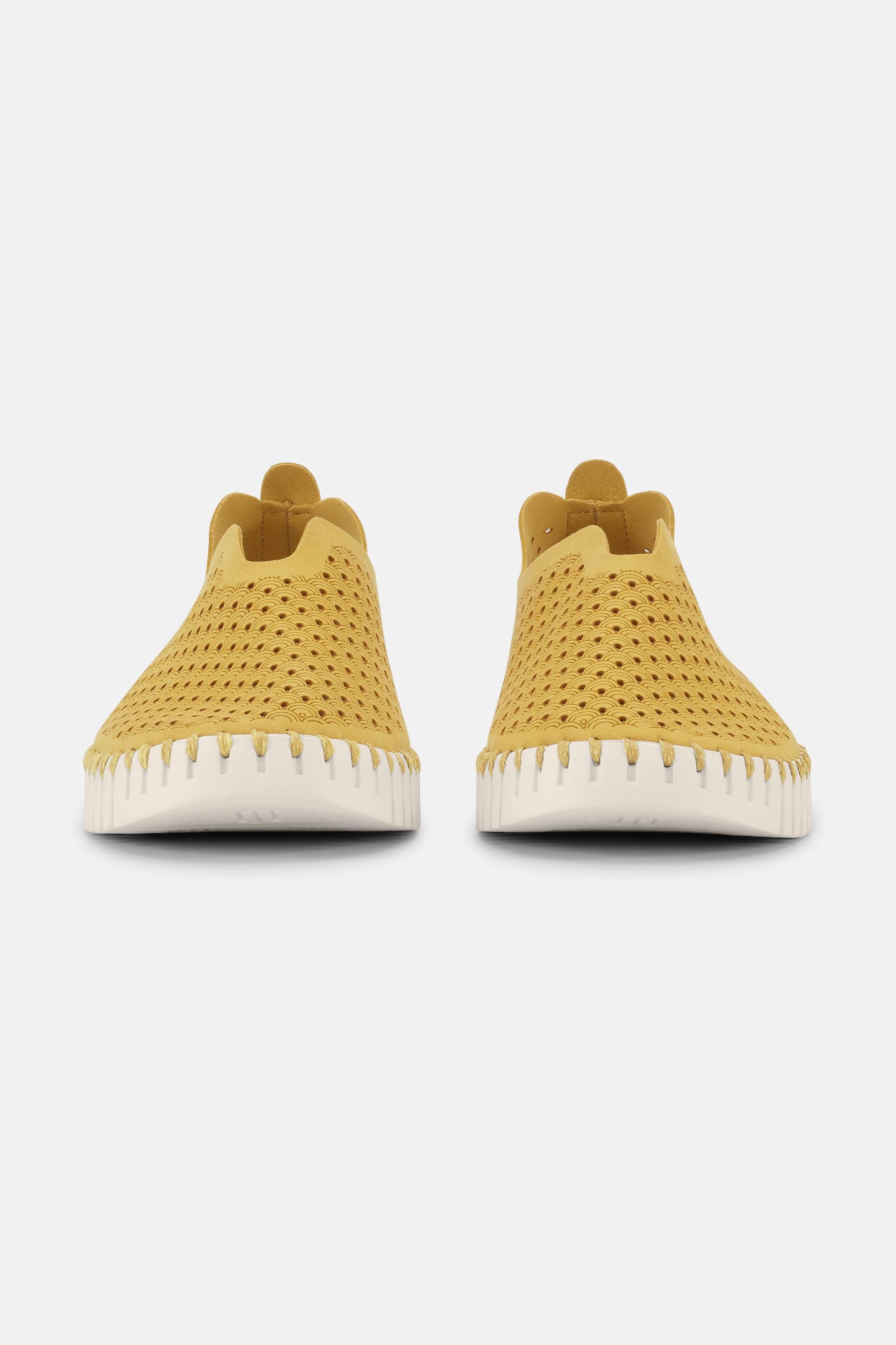 Tulip Flats - Golden Rod